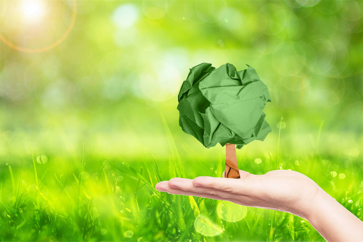 東盟衛(wèi)視專訪芬尼空氣能董事長