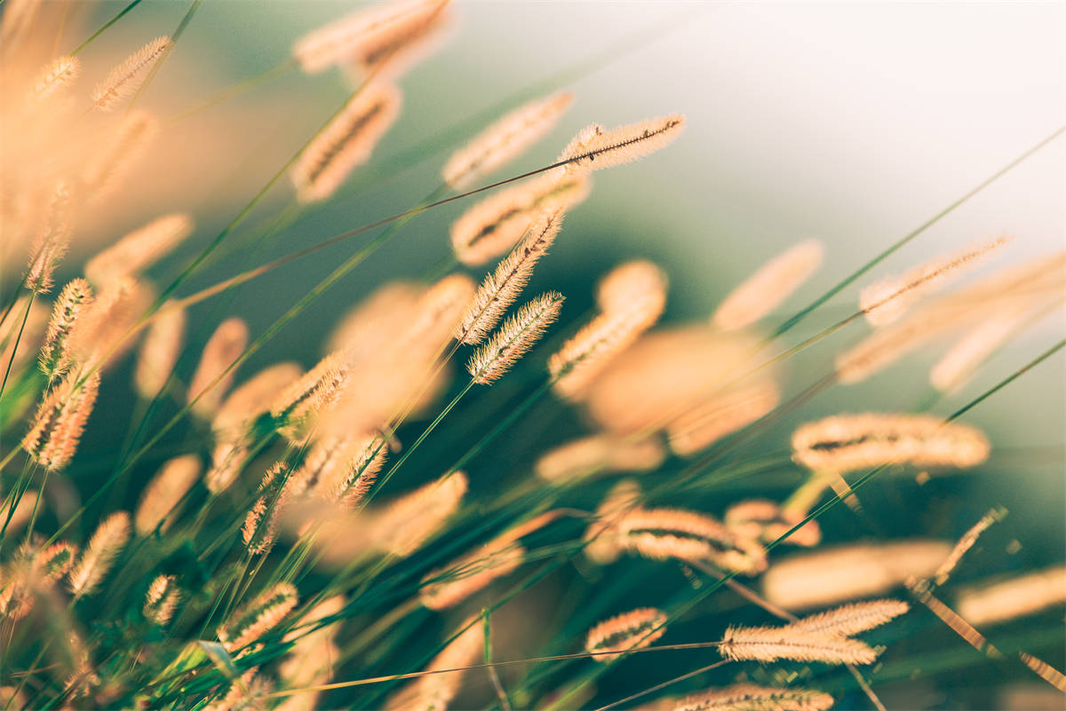 發(fā)改委：全國實(shí)行峰谷電價(jià) 空氣能采暖優(yōu)勢(shì)明顯